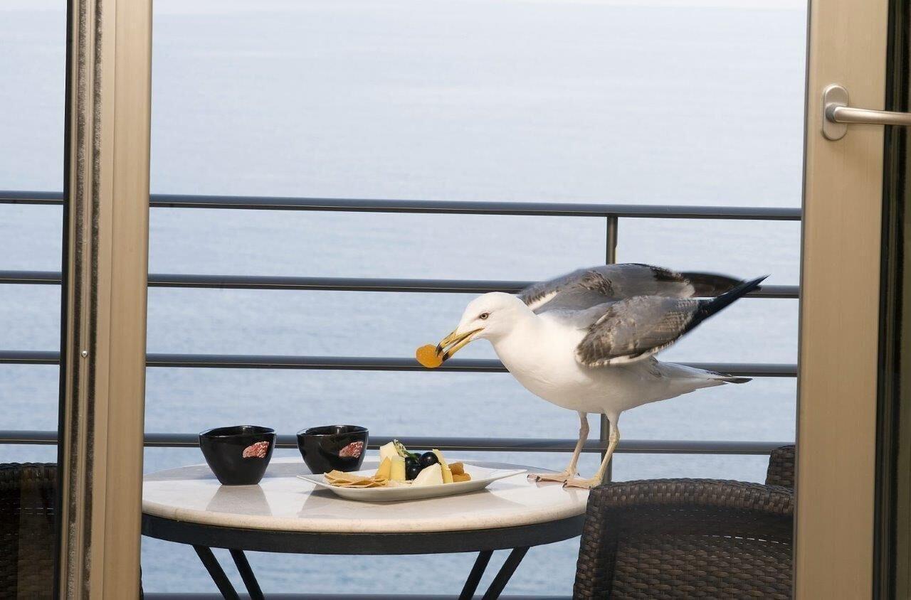 Cinar Hotel Istambul Exterior foto