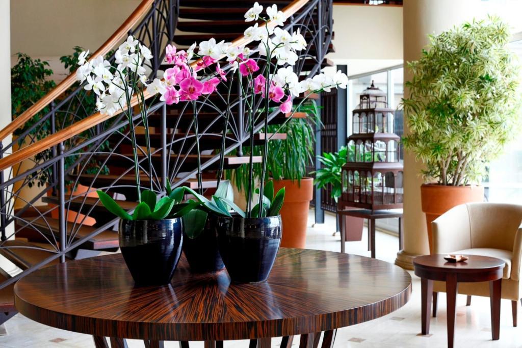 Cinar Hotel Istambul Exterior foto